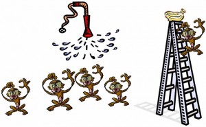 monkey-banana-water-spray-paradigm